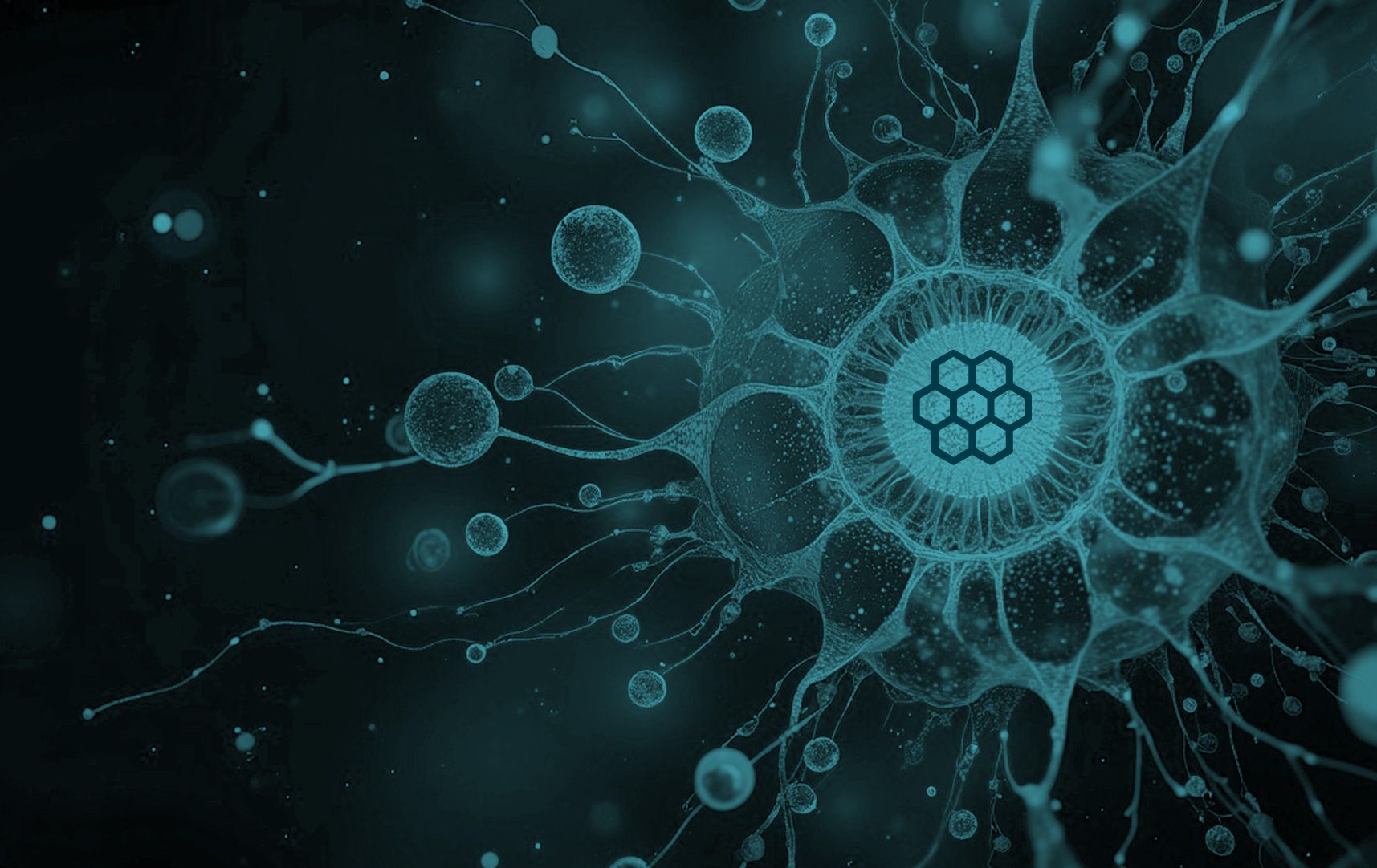 Igniting Innovation Launchbio Event