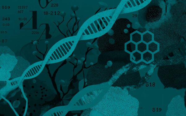 HiveBio Investor Showcase